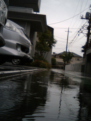20100519_01.JPG