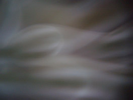 20100602_4.JPG