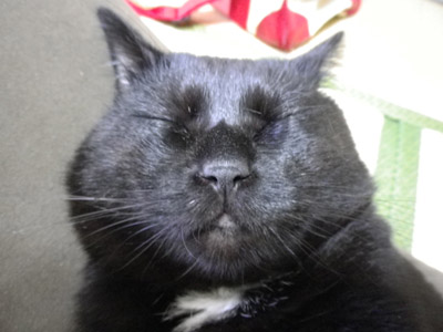 20100918_01.JPG