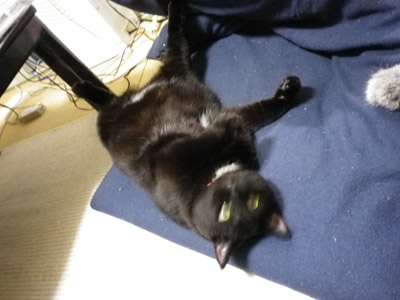 20101025_01.JPG