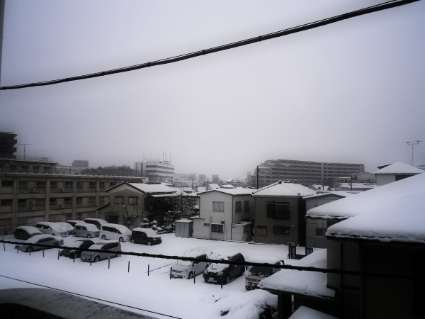 20120229_snow.png