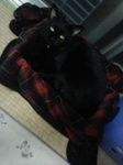 081008_bed